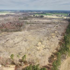 Photo #17 of SOLD property in Off Gardner School Road , Stantonsburg, NC 84.7 acres