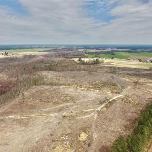Photo #18 of SOLD property in Off Gardner School Road , Stantonsburg, NC 84.7 acres