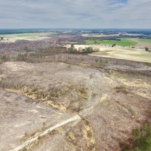 Photo #19 of SOLD property in Off Gardner School Road , Stantonsburg, NC 84.7 acres