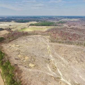 Photo #20 of SOLD property in Off Gardner School Road , Stantonsburg, NC 84.7 acres