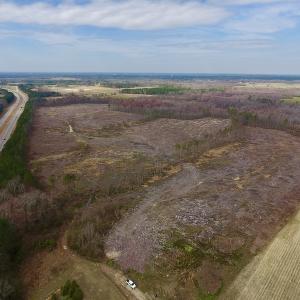 Photo #3 of SOLD property in Off Gardner School Road , Stantonsburg, NC 84.7 acres