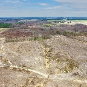 Photo #21 of SOLD property in Off Gardner School Road , Stantonsburg, NC 84.7 acres