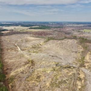 Photo #23 of SOLD property in Off Gardner School Road , Stantonsburg, NC 84.7 acres