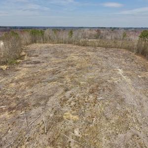 Photo #24 of SOLD property in Off Gardner School Road , Stantonsburg, NC 84.7 acres