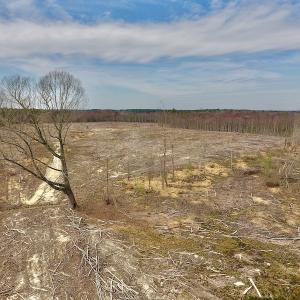 Photo #25 of SOLD property in Off Gardner School Road , Stantonsburg, NC 84.7 acres