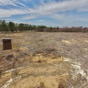 Photo #26 of SOLD property in Off Gardner School Road , Stantonsburg, NC 84.7 acres