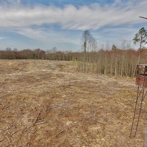 Photo #27 of SOLD property in Off Gardner School Road , Stantonsburg, NC 84.7 acres