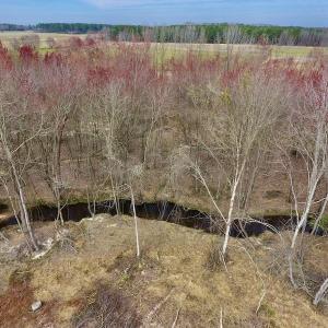 Photo #29 of SOLD property in Off Gardner School Road , Stantonsburg, NC 84.7 acres