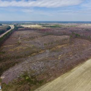 Photo #4 of SOLD property in Off Gardner School Road , Stantonsburg, NC 84.7 acres
