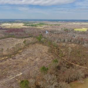 Photo #6 of SOLD property in Off Gardner School Road , Stantonsburg, NC 84.7 acres