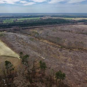 Photo #7 of SOLD property in Off Gardner School Road , Stantonsburg, NC 84.7 acres