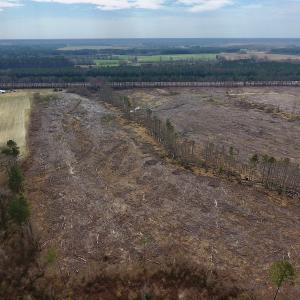 Photo #8 of SOLD property in Off Gardner School Road , Stantonsburg, NC 84.7 acres