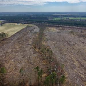 Photo #9 of SOLD property in Off Gardner School Road , Stantonsburg, NC 84.7 acres