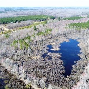 Photo #3 of SOLD property in 1480 Occoneechee Neck Road, Jackson, NC 268.0 acres