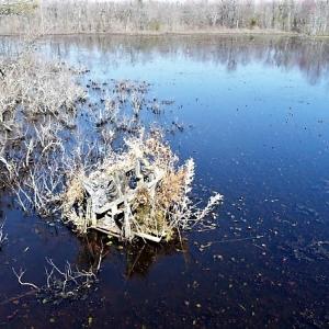 Photo #4 of SOLD property in 1480 Occoneechee Neck Road, Jackson, NC 268.0 acres
