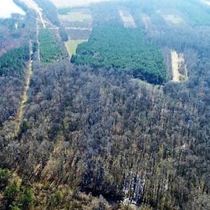 Photo #5 of SOLD property in 1480 Occoneechee Neck Road, Jackson, NC 268.0 acres
