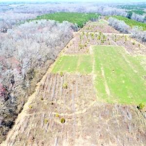 Photo #18 of SOLD property in 1480 Occoneechee Neck Road, Jackson, NC 268.0 acres
