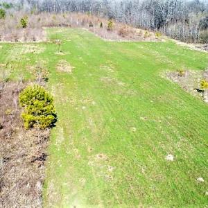 Photo #19 of SOLD property in 1480 Occoneechee Neck Road, Jackson, NC 268.0 acres