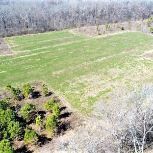 Photo #20 of SOLD property in 1480 Occoneechee Neck Road, Jackson, NC 268.0 acres