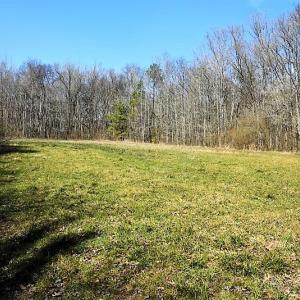 Photo #24 of SOLD property in 1480 Occoneechee Neck Road, Jackson, NC 268.0 acres