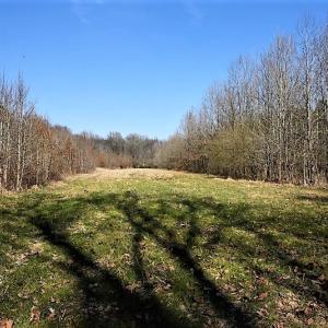 Photo #25 of SOLD property in 1480 Occoneechee Neck Road, Jackson, NC 268.0 acres