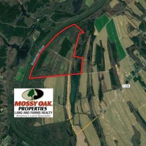 Photo #1 of SOLD property in 1480 Occoneechee Neck Road, Jackson, NC 268.0 acres