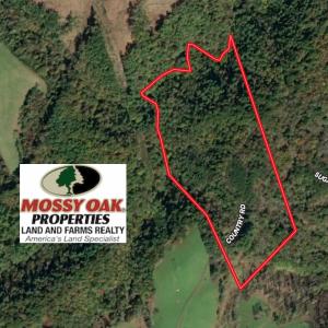 Photo #1 of 955 Country Rd., Austinville, VA 27.0 acres