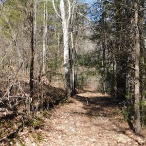 Photo #8 of 955 Country Rd., Austinville, VA 27.0 acres