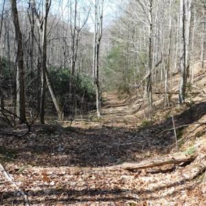Photo #9 of 955 Country Rd., Austinville, VA 27.0 acres