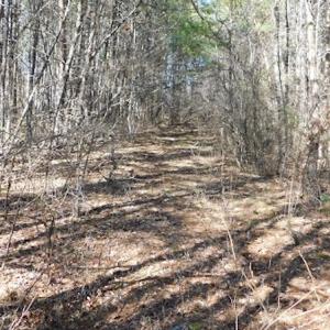 Photo #13 of 955 Country Rd., Austinville, VA 27.0 acres