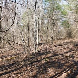 Photo #15 of 955 Country Rd., Austinville, VA 27.0 acres