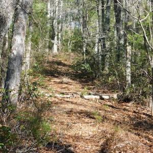 Photo #16 of 955 Country Rd., Austinville, VA 27.0 acres