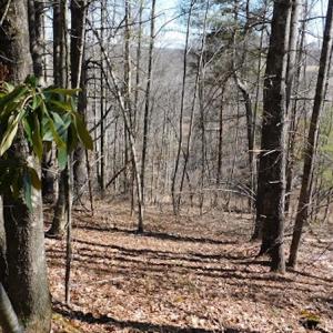 Photo #2 of 955 Country Rd., Austinville, VA 27.0 acres