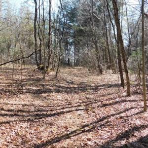 Photo #18 of 955 Country Rd., Austinville, VA 27.0 acres