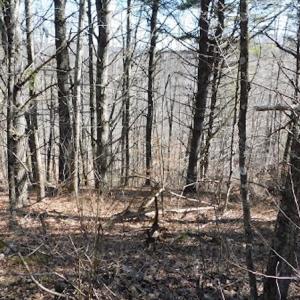 Photo #3 of 955 Country Rd., Austinville, VA 27.0 acres