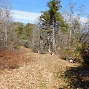 Photo #4 of 955 Country Rd., Austinville, VA 27.0 acres