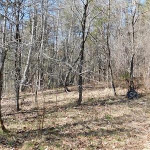 Photo #7 of 955 Country Rd., Austinville, VA 27.0 acres