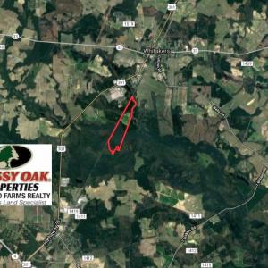 Photo #2 of SOLD property in Off Berrywood Lane , Whitakers , NC 147.0 acres