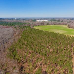 Photo #12 of SOLD property in Off Berrywood Lane , Whitakers , NC 147.0 acres