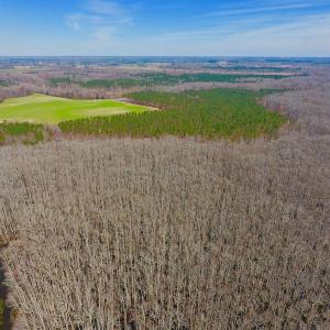Photo #20 of SOLD property in Off Berrywood Lane , Whitakers , NC 147.0 acres