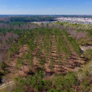 Photo #22 of SOLD property in Off Berrywood Lane , Whitakers , NC 147.0 acres