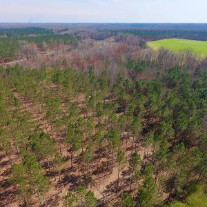 Photo #23 of SOLD property in Off Berrywood Lane , Whitakers , NC 147.0 acres
