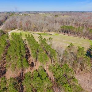 Photo #25 of SOLD property in Off Berrywood Lane , Whitakers , NC 147.0 acres
