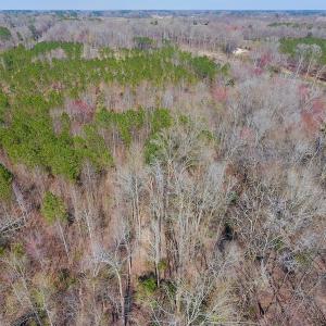 Photo #28 of SOLD property in Off Berrywood Lane , Whitakers , NC 147.0 acres