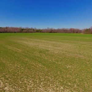 Photo #29 of SOLD property in Off Berrywood Lane , Whitakers , NC 147.0 acres