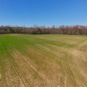 Photo #30 of SOLD property in Off Berrywood Lane , Whitakers , NC 147.0 acres