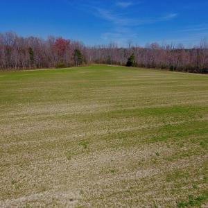 Photo #31 of SOLD property in Off Berrywood Lane , Whitakers , NC 147.0 acres
