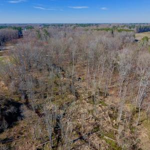 Photo #33 of SOLD property in Off Berrywood Lane , Whitakers , NC 147.0 acres
