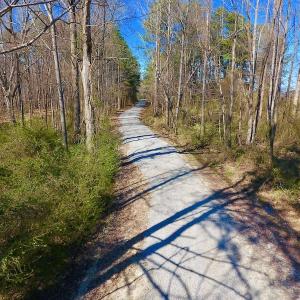 Photo #34 of SOLD property in Off Berrywood Lane , Whitakers , NC 147.0 acres