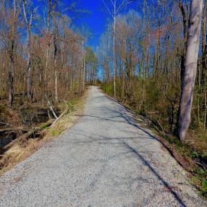Photo #35 of SOLD property in Off Berrywood Lane , Whitakers , NC 147.0 acres